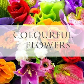 Colourful Flowers - Subscription Regular / Wrapped