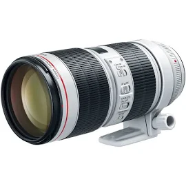 Canon EF 70-200mm f/2.8L Is III USM Telephoto Zoom Lens at ABT