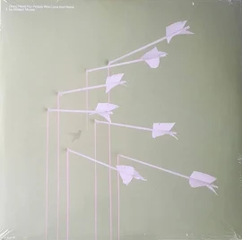 Modest Mouse - Good News For People Who Love Bad News [Vinyl LP]