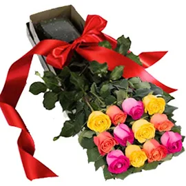 Dozen Boxed Premium Roses (Red, Pink, Rainbow, Blue, Purple, Mixed, White, Yellow) Mixed