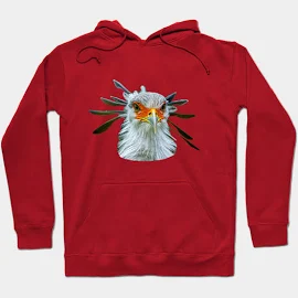 dalyndigaital2@gmail.com Secretary Bird Hoodie