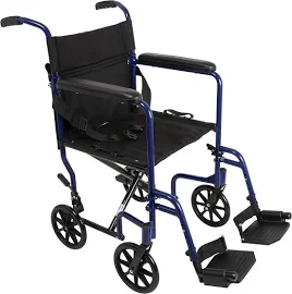 ProBasics Aluminum Transport Wheelchair - 19" Wheel Chair Blue