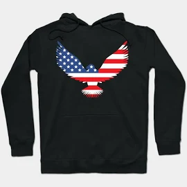 haldaneisaura@gmail.com American Engle Hoodie