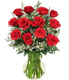Red Roses and Wispy Whites Classic Dozen Roses