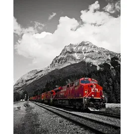 CP Rail Train In Field BC 30x40