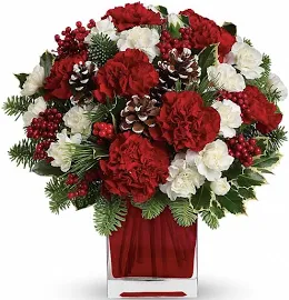 Teleflora Christmas Flower Arrangement. Red And White Carnations