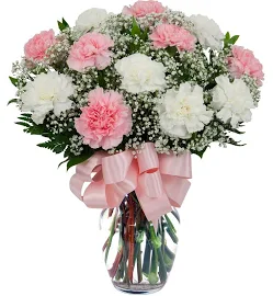 Mission Flower Shops - 12 Pink White Carnations