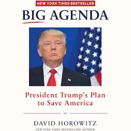 Big Agenda: President Trump's Plan to Save America [Book]