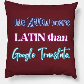 We Know More Latin Than Google Translate. Pillow