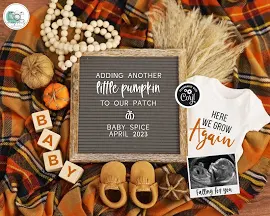 Digital Pregnancy Announcement, Fall 2nd 3rd 4th Etc Pregnancy Reveal, Here We Grow Again Baby Announcement, Adding Another Pumpkin to Patch