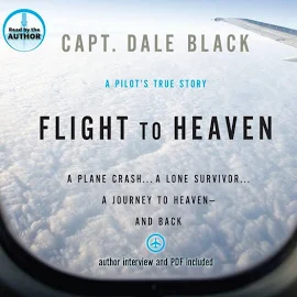 Flight to Heaven: A Plane Crash...A Lone Survivor...A Journey to Heaven--and Back [Book]