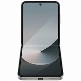 Samsung Galaxy Z Flip6 512 GB Silver Shadow