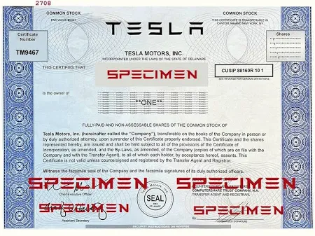 Personalized Tesla Motors, Inc. Stock Certificate Novelty On