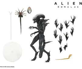 NECA ALIEN ROMULUS SCORCHED XENOMORPH ULTIMATE 7 INCH SCALE ACTION FIGURE - Free UK Shipping ** PRE ORDER DUE JANUARY 2025**