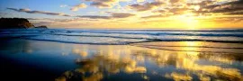 Avoca Dawning