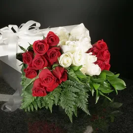 Red & White Roses 36 Roses / Boxed / Basic