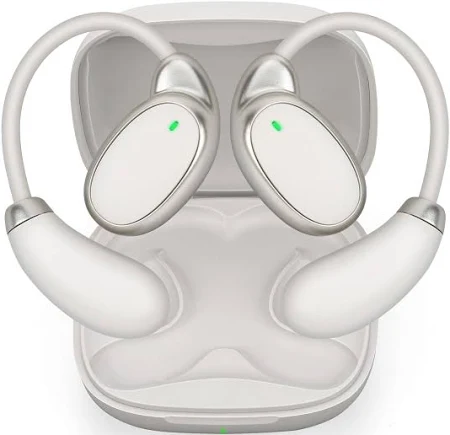 Les écouteurs de traducteur de langue offrent une traduction bidirectionnelle en temps réel en 138 langues, avec Bluetooth et une application pour