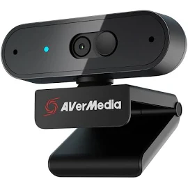 AVerMedia PW310P - Webcam