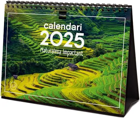 Finocam Tischkalender zum Schreiben 2025 Monat Ansicht Januar 2025