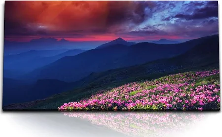 Kunstdruck Bilder Berge Berglandschaft dunkler Himmel Blumenwiese