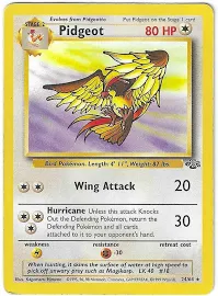 Pidgeot Tauboss - Dschungel - 24/64 - Pokemon Karte - Englisch