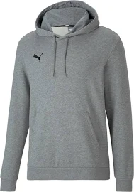 Puma teamGOAL 23 Casuals Hoody Herren Grau L