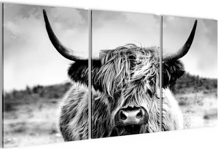 Runa Art Bilder Tiere 40 x 60 cm 3 Bilder 3 Teilig Wandbild auf Vlies Leinwand Schottisches Hochlandrind Mehrteilig Modern 056636a