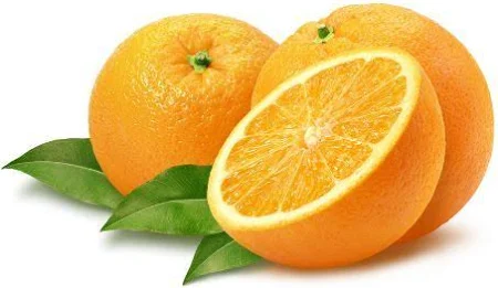 Oranges Navel Bio de table - Italie