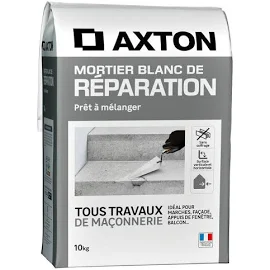 Mortier de réparation Blanc AXTON, 10 kg