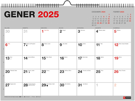 Miquelrius - Calendrier mural 2025 Basic, calendrier A4 296 x 210 mm, avec espace pour noter, reliure spirale double, calendrier 2025, catalan