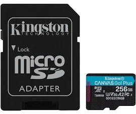 Kingston Canvas Go Plus SDCG3/256GB