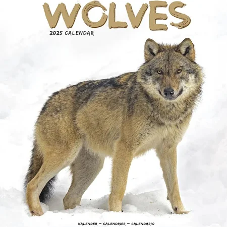 Calendrier 2025 - Loups
