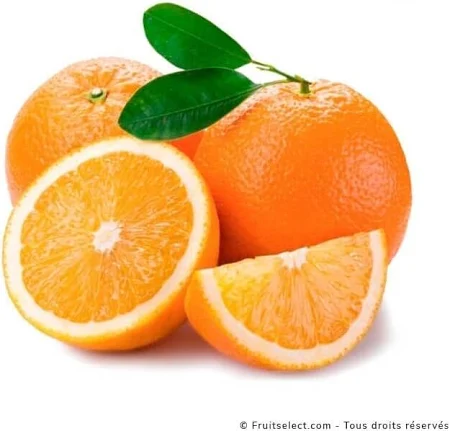 Oranges à Dessert Navel - filet de 3 kg