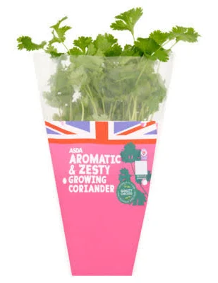 ASDA Aromatic & Zesty Growing Coriander