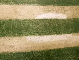 EH 1 Green Stripes