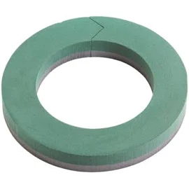 Box Sale of 12 Foam Backed Rings - 12 inch Diameter - Oasis Brand