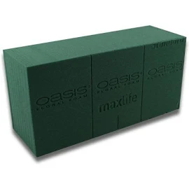 Floristik24 Oasis Moss Plug Maxlife Standard 20 Bricks