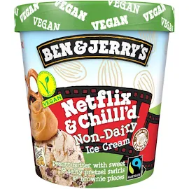 Ben & Jerry's Non Dairy Netflix & Chilll'd Vegan Ice Cream Frozen Dessert 465ml