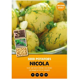 Nicola Seed Potatoes, 2kg - Second Early