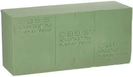 Oasis Advantage Plus Floral Foam (Case of 24 Bricks)