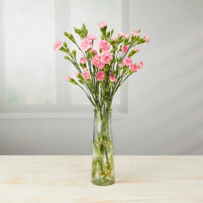 ASDA Traditional Spray Carnations