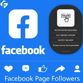 Purchase 2,000 Facebook Page Followers