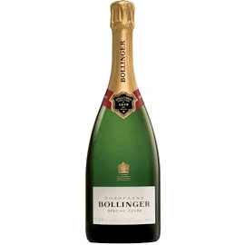 Bollinger - champagne brut aoc special cuvée - bollinger