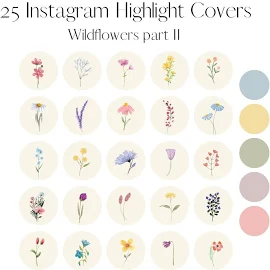 Instagram Highlight Cover fiori di campo / 25 Instagram Highlights Floral Acquerello / Botanical Story Cover / Cute Boho Flower schizzi Icone