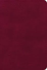 NASB Large Print Compact Reference Bible, Burgundy rilegato in ecopelle. Narrativa. 9781087765730.