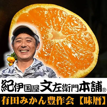 有田みかん 大玉サイズ 4.5kg(箱込) | 産地直送の通販・お取り寄せ ポケットマルシェ