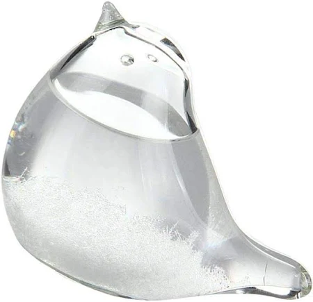 ストームグラス 天気予報器 かわいい鳥 結晶観察器 天気予報ボトル 結晶天気予報ボトル 卓上置物 おしゃれ Yahede