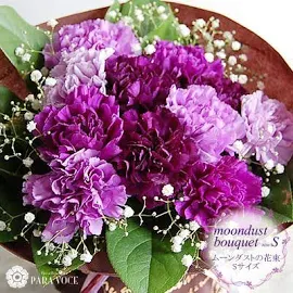 誕生日 花 誕生日プレゼント 花 そのまま飾れるブーケ 母の日 古希祝い 米寿 卒寿 喜寿 ムーンダストの花束 (S) 12本の花束 紫のカ