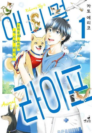 [펫코믹] 코하루와 소라의 애니멀 라이프