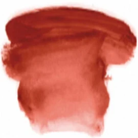 [Chroma/A2 Acrylics] A2 916 Light Red Oxide 1L